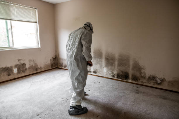 Best Residential Mold Removal  in South Congaree, SC